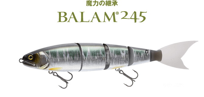 BALAM 245 | MADNESS JAPAN【公式】